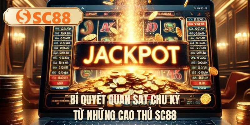 Bí quyết quan sát chu kỳ từ những cao thủ SC88