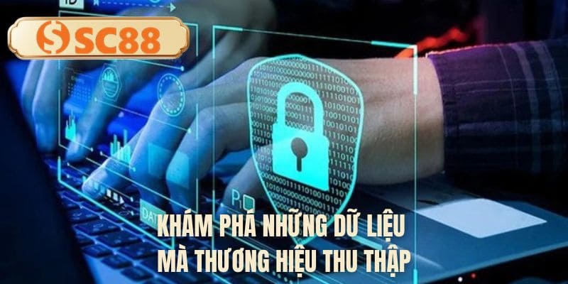 Khám phá những dữ liệu mà thương hiệu thu thập