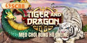 meo-choi-rong-ho-online