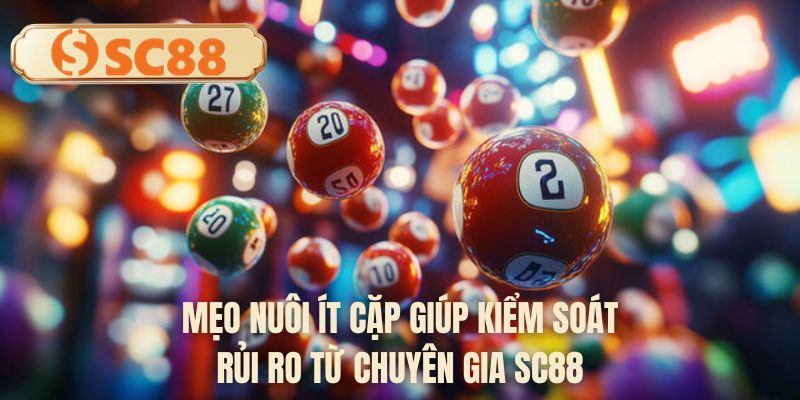 Mẹo nuôi ít cặp giúp kiểm soát rủi ro từ chuyên gia SC88