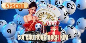 soi-cau-rong-bach-kim