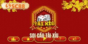 soi-cau-tai-xiu